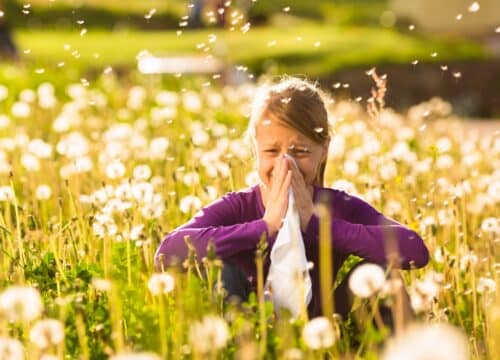 Inhalatorni alergeni - testiranje na alergije